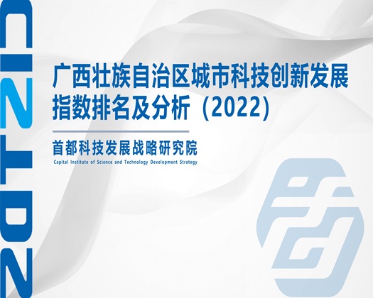 啊疼用力操我视频【成果发布】广西壮族自治区城市科技创新发展指数排名及分析（2022）